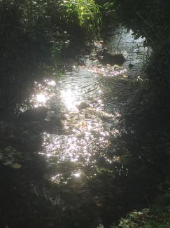 Le jardin du 19 Juillet