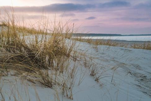 Derrière la dune