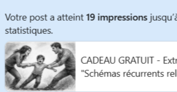 Extrait - module 1 - en vente sur Amazon