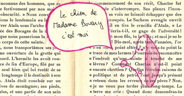 Les Lettres du chien