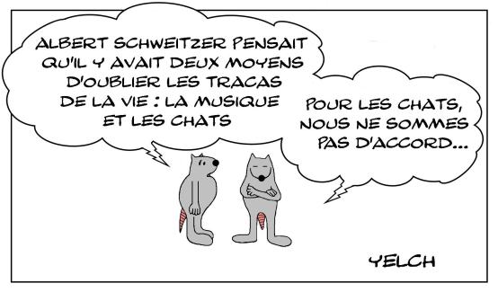 Les rats et les chats et la musique