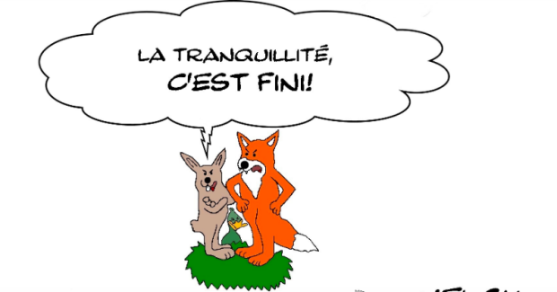 l'intranquillité animale
