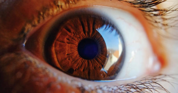 Iris