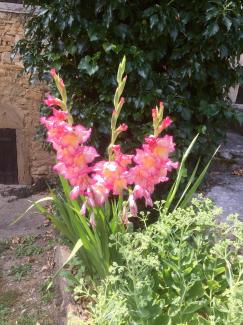 Le jardin du 22 Juillet
