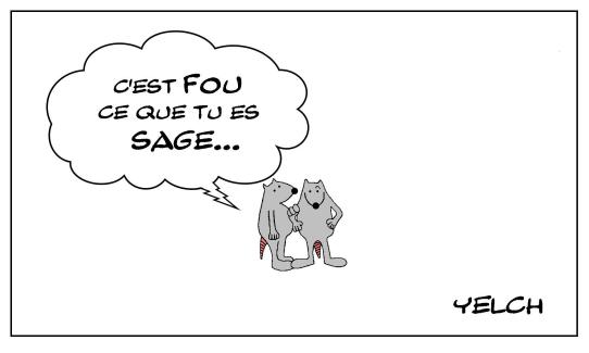 La folie de la sagesse