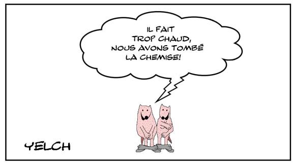 Dépoilant