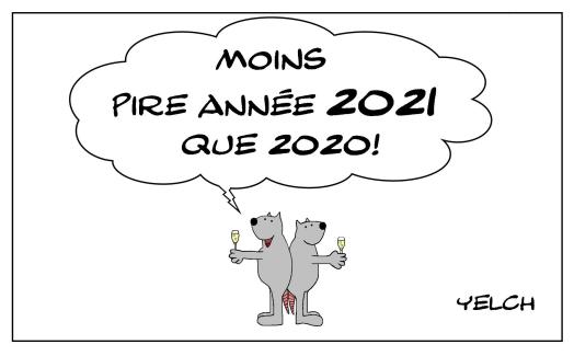 Bonne année à tous les membres de Panodyssey!