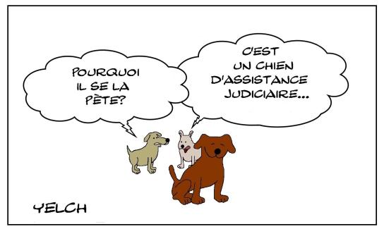 chien médiateur
