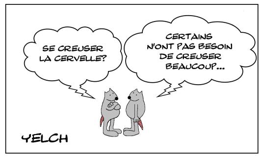 Le rat et la cervelle creuse
