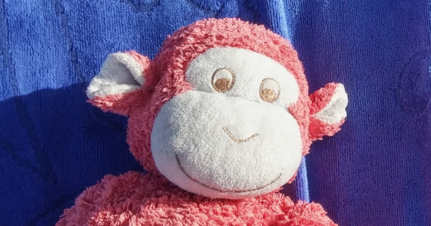 L'Histoire d'Hubert le singe