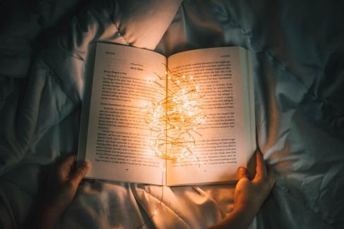 Nevermore (Maximum Ride #8) by James Patterson