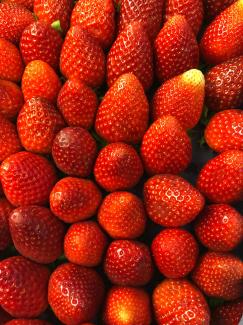 Verrines printanières fraises spéculoos comme un tiramisu