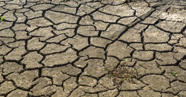 Famine
