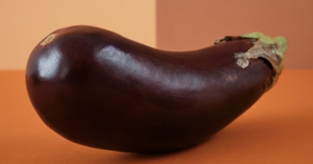 Erection