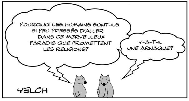 Faux paradis?