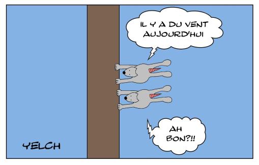 Les rats qui étaient dans le vent