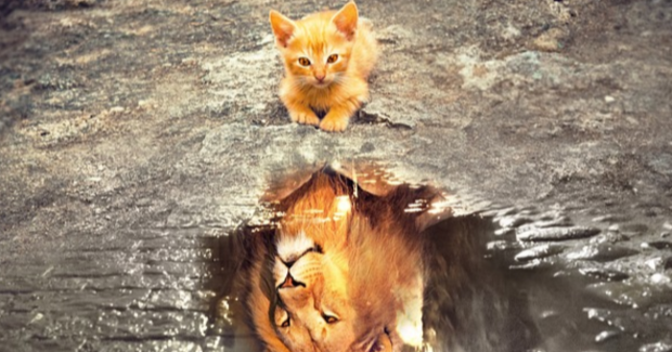 Reflet