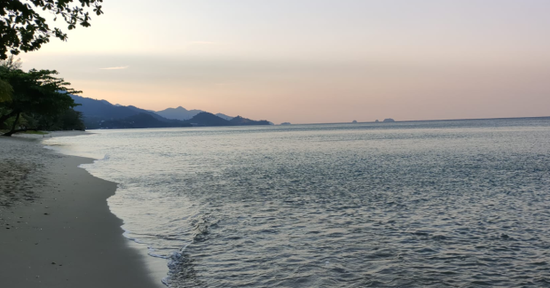 Une bouteille à la mer