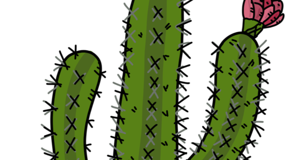 Erection