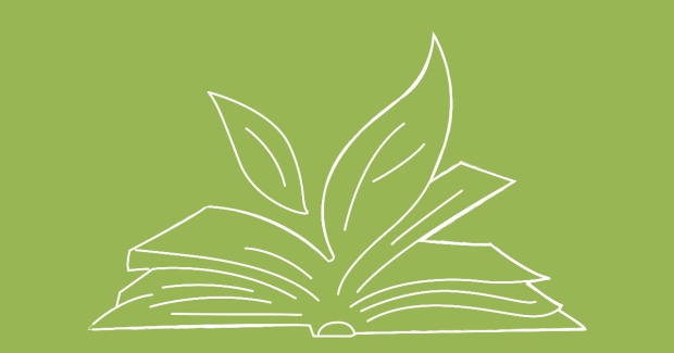 Green Tales: Empowering Creativity with German Students - Part II