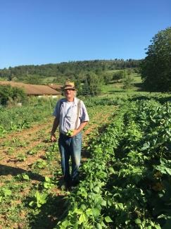 Le cornichon est de retour ! 🥒