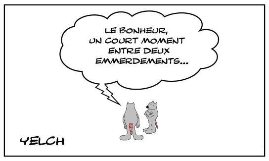 Bonheur et emmerdements