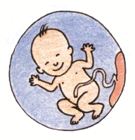 6-Bienvenue mon bébé !