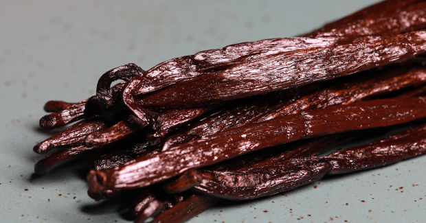 Le Vanillier : Une Exploration Scientifique et Technique de Vanilla planifolia