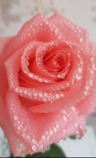 From My Heart