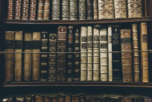 Romans historiques, biographies...