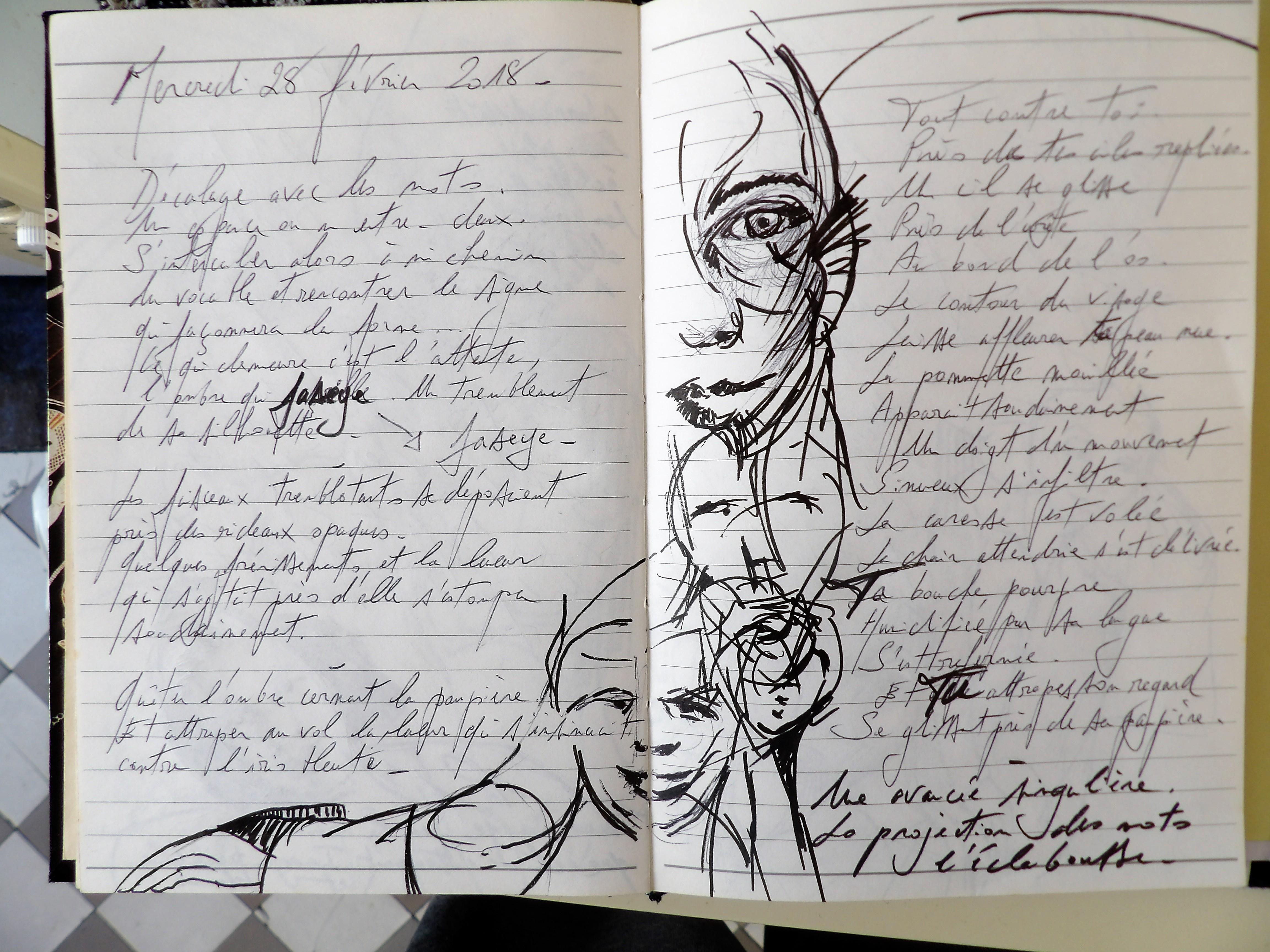 Petits Papiers Volants : Journal D'écriture 2003-2018 - mercredi 28 février 2018