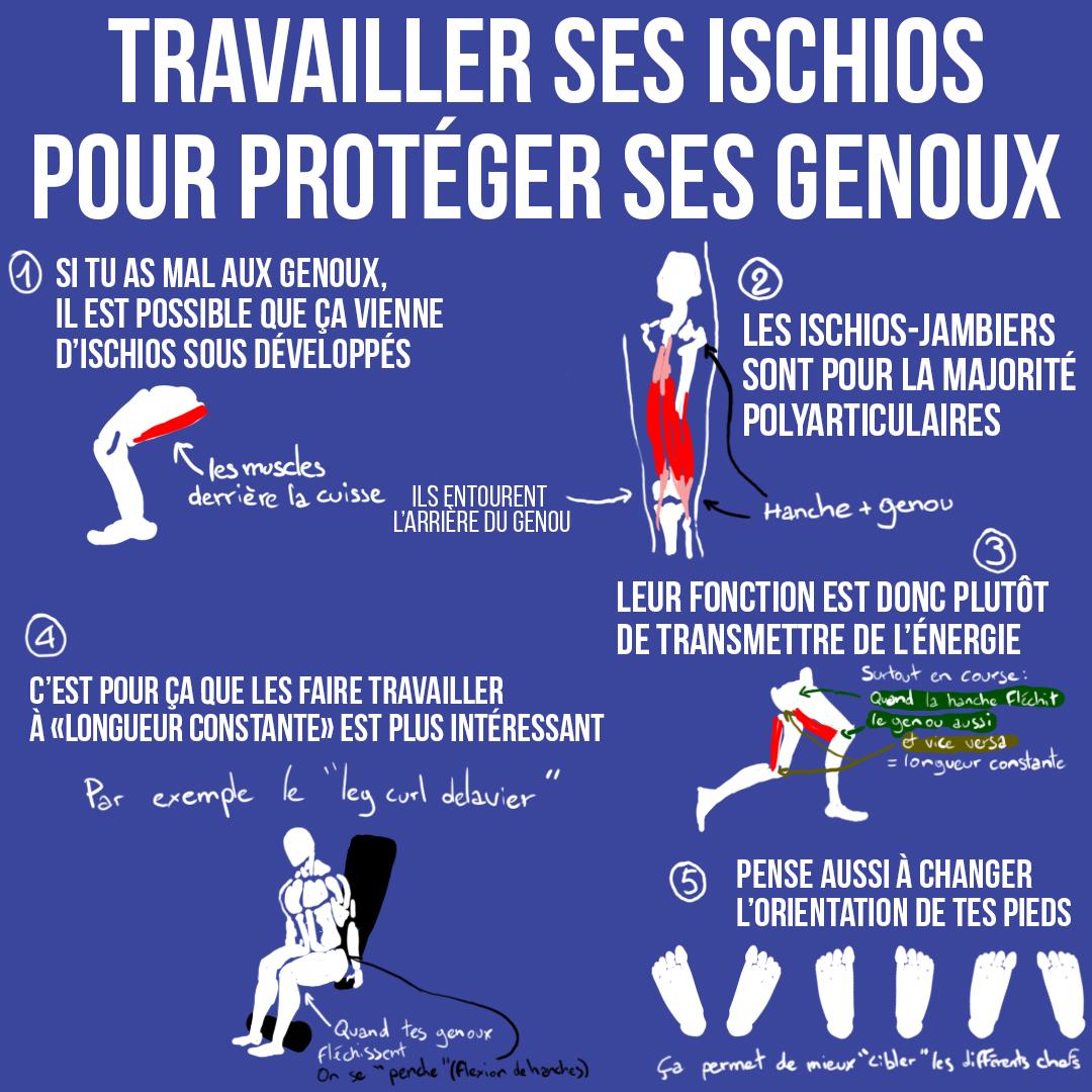 Travailler ses ischios pour protéger ses genoux