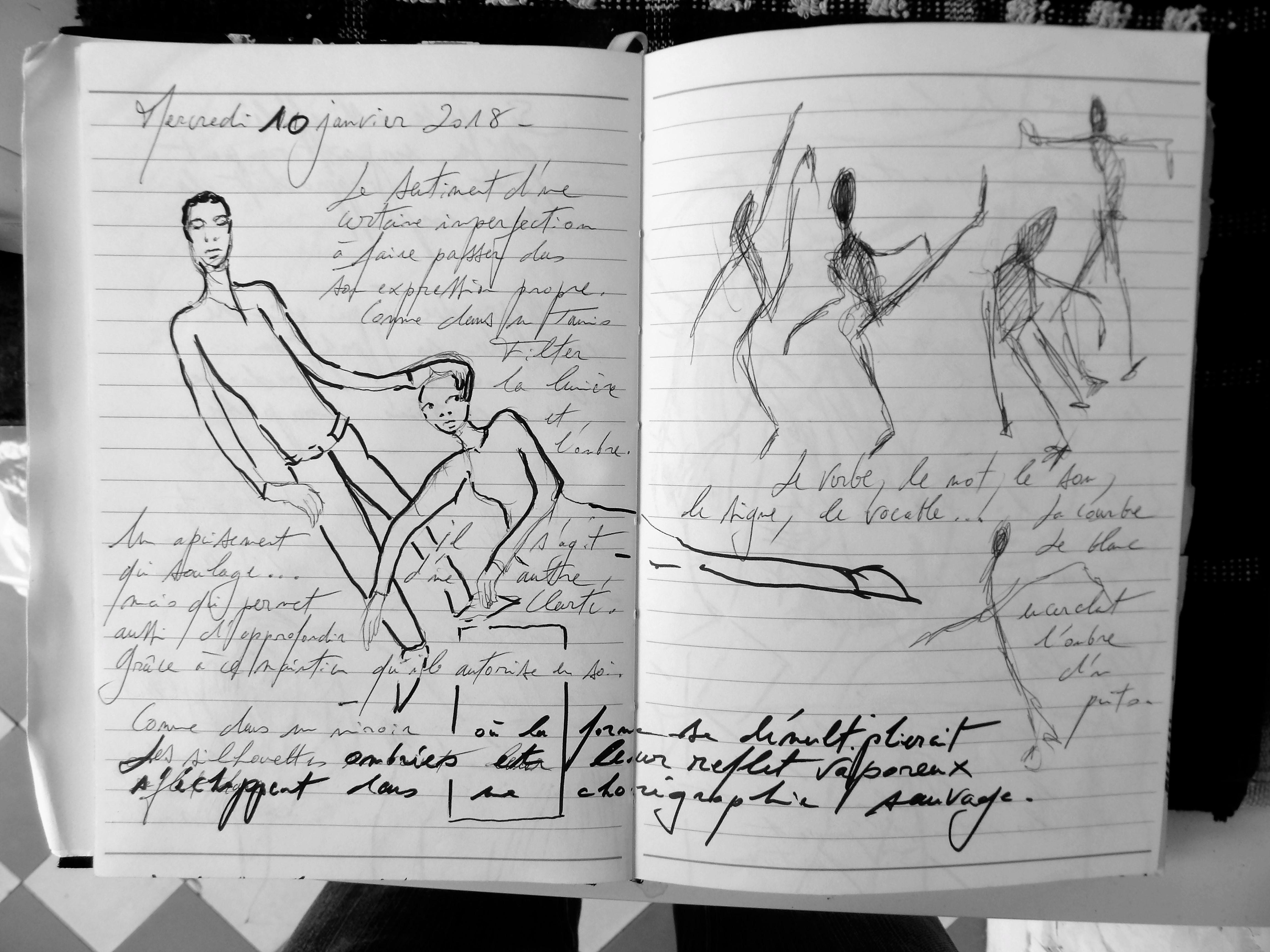 Petits Papiers Volants : Journal D'écriture 2003-2018 - Mercredi 10 janvier 2018
