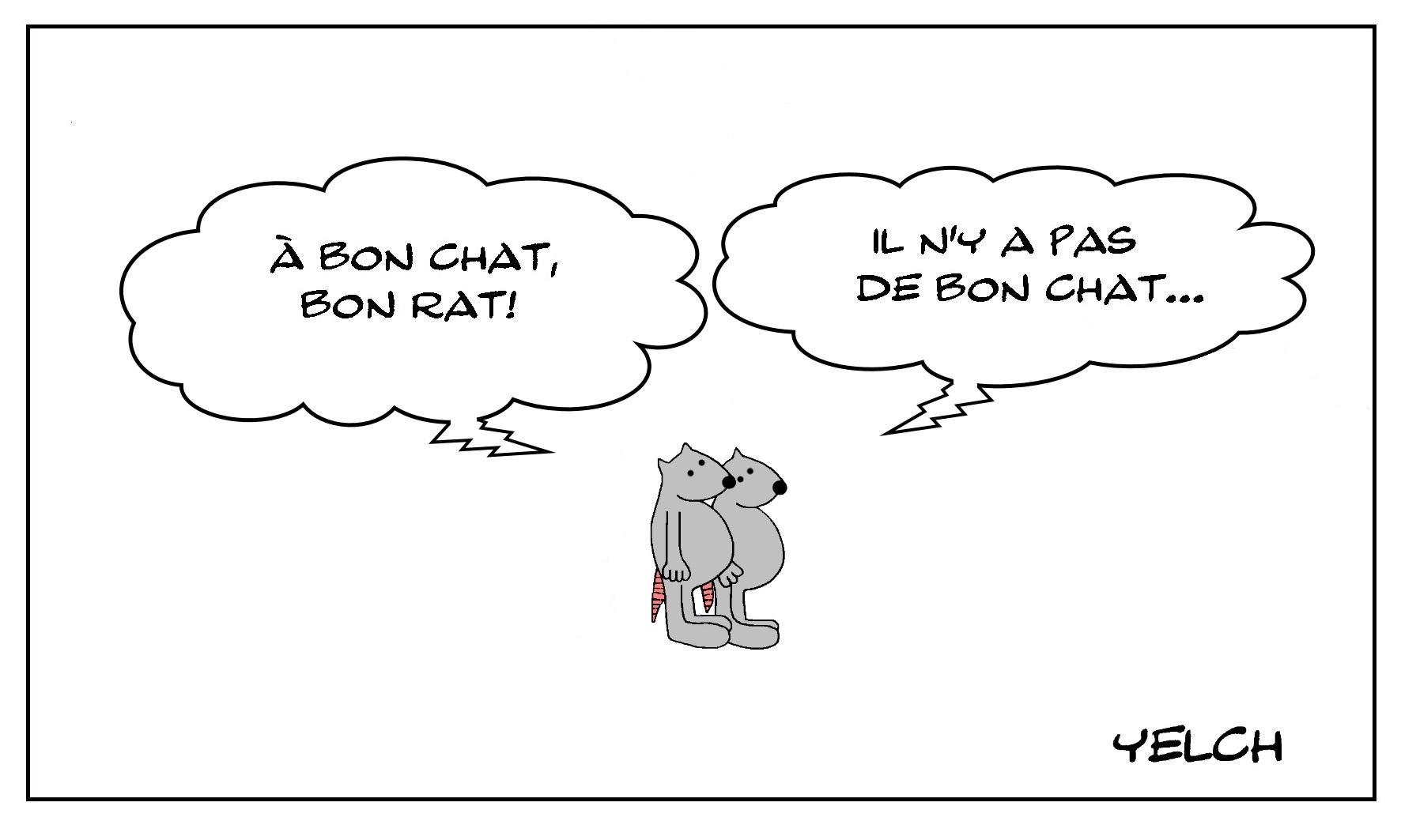 Le bon rat mais pas le bon chat...
