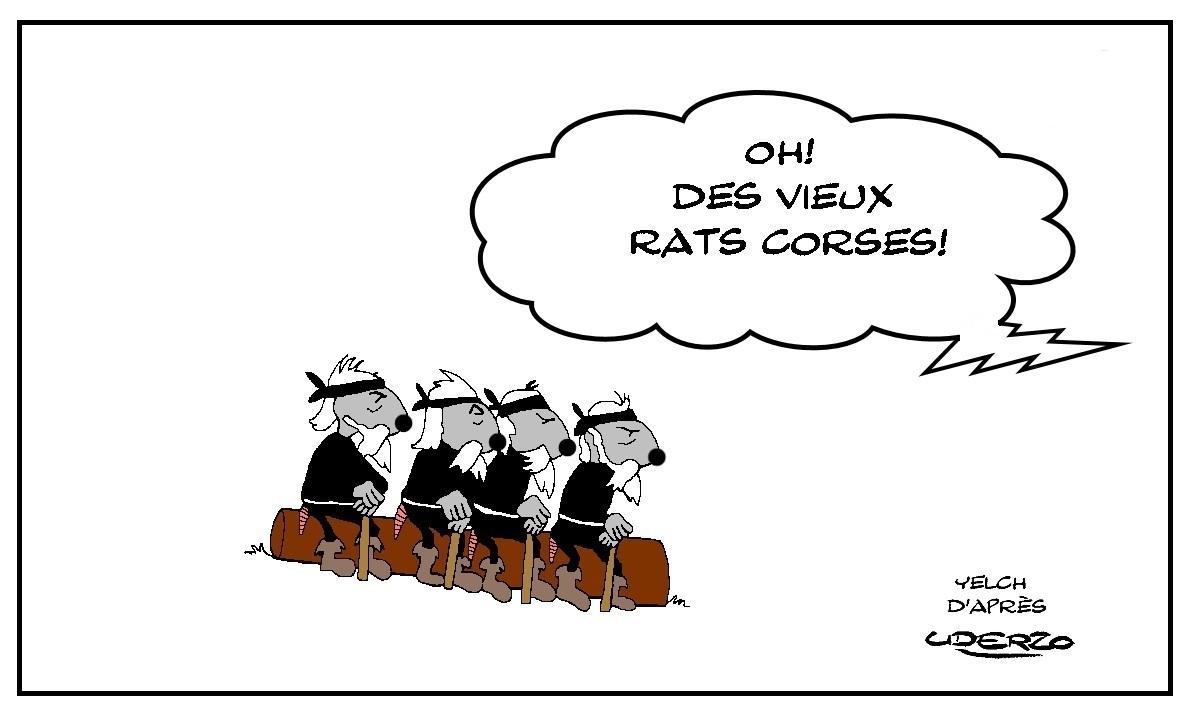 Vieux rats corses - clin d'oeil à Uderzo