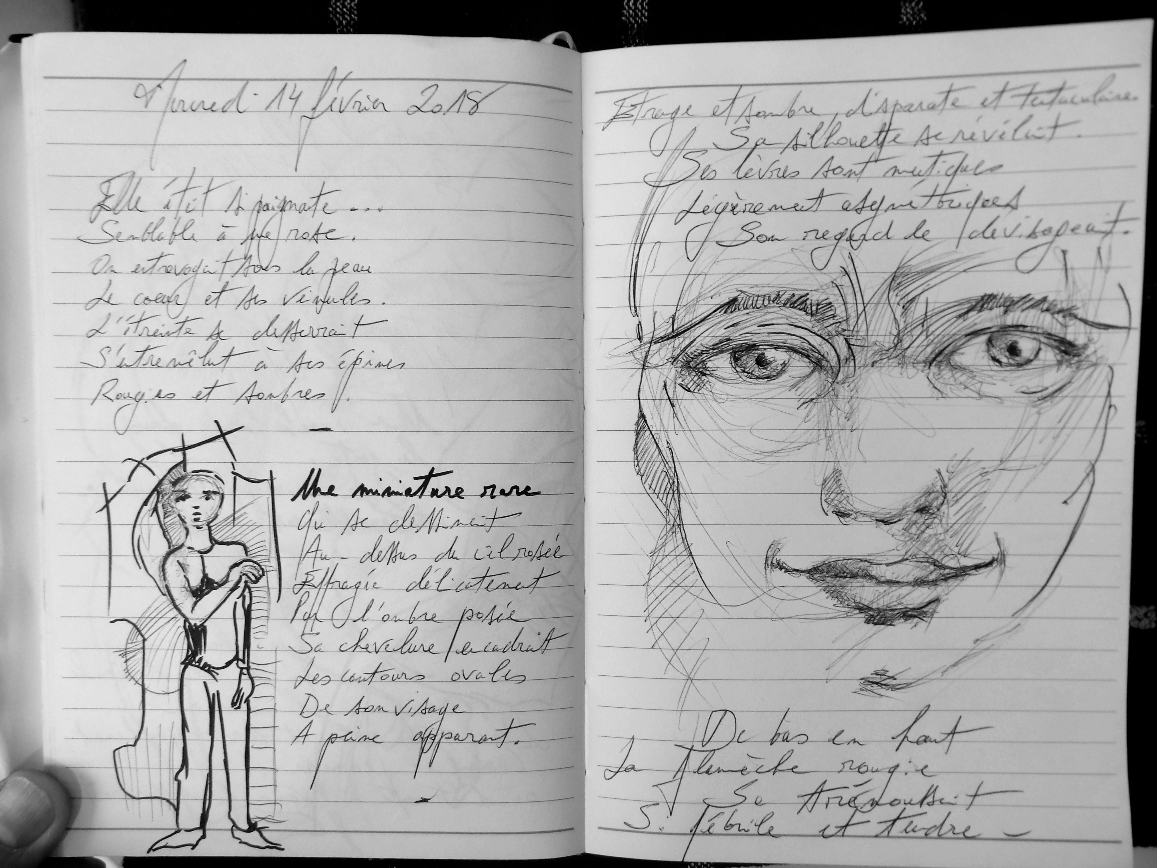 Petits Papiers Volants : Journal D'écriture 2003-2018 - mardi 13 et mercredi 14 février 2018