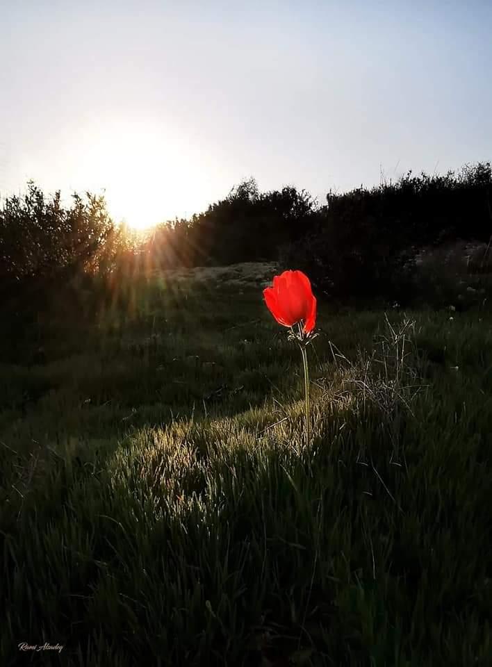 Un Amour Plus Sincère..
