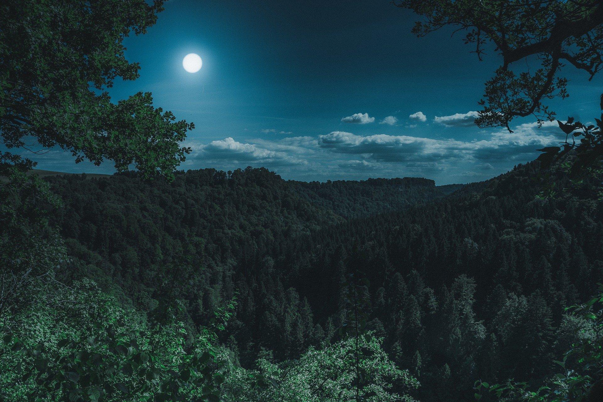 Une nuit paisible