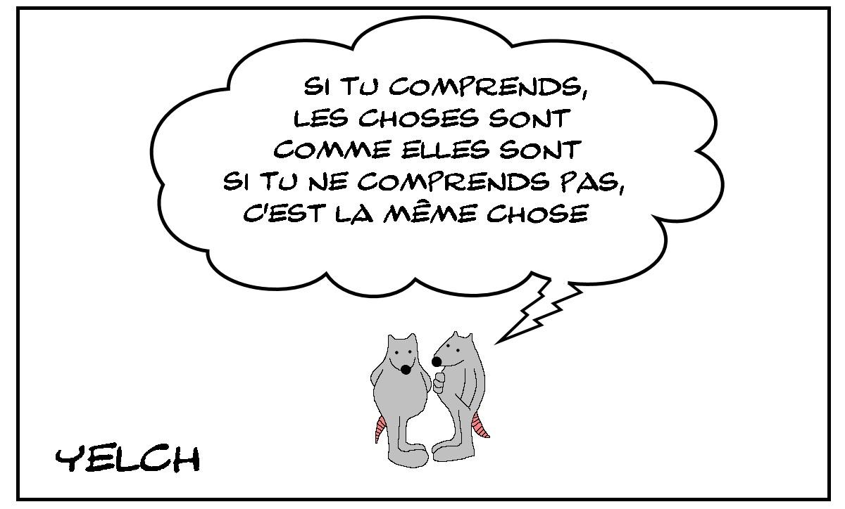 Comprendre les choses ou pas