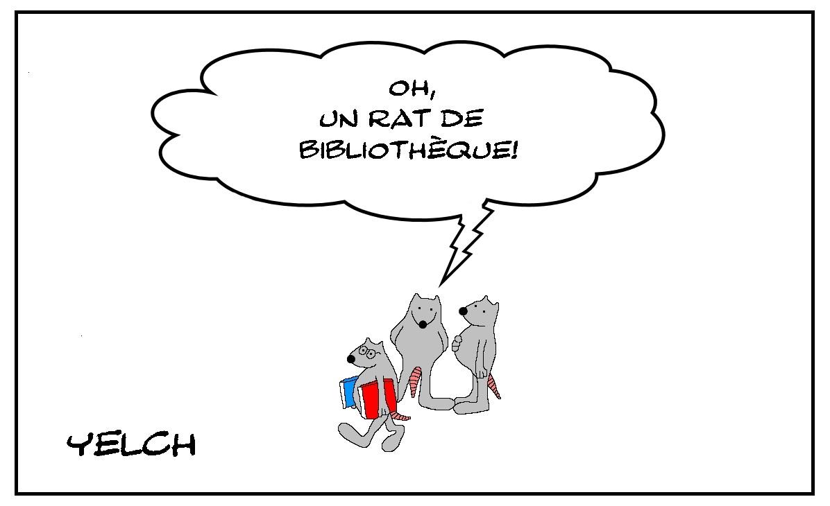 Rat de bibliothèque