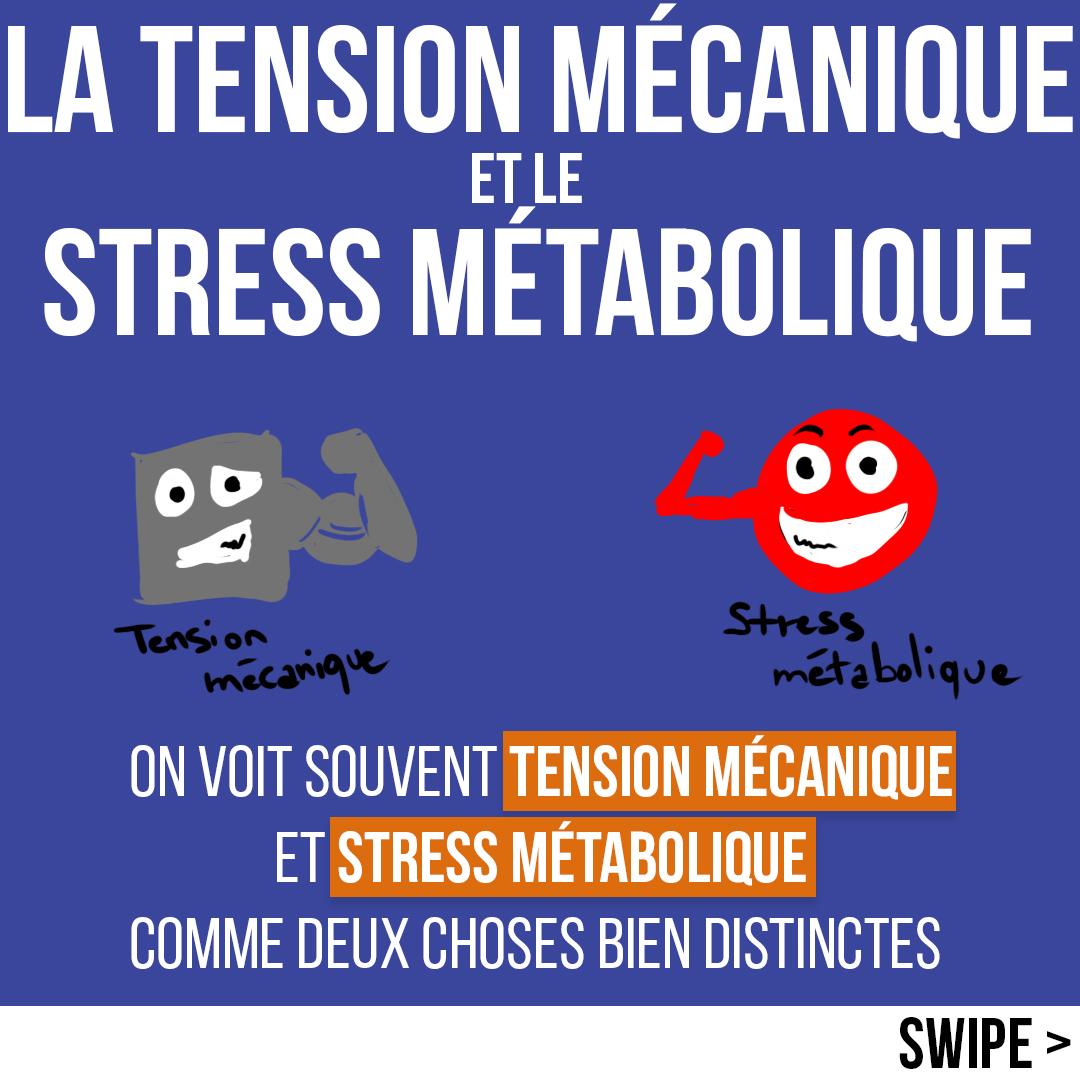 La tension mécanique et le stress métabolique