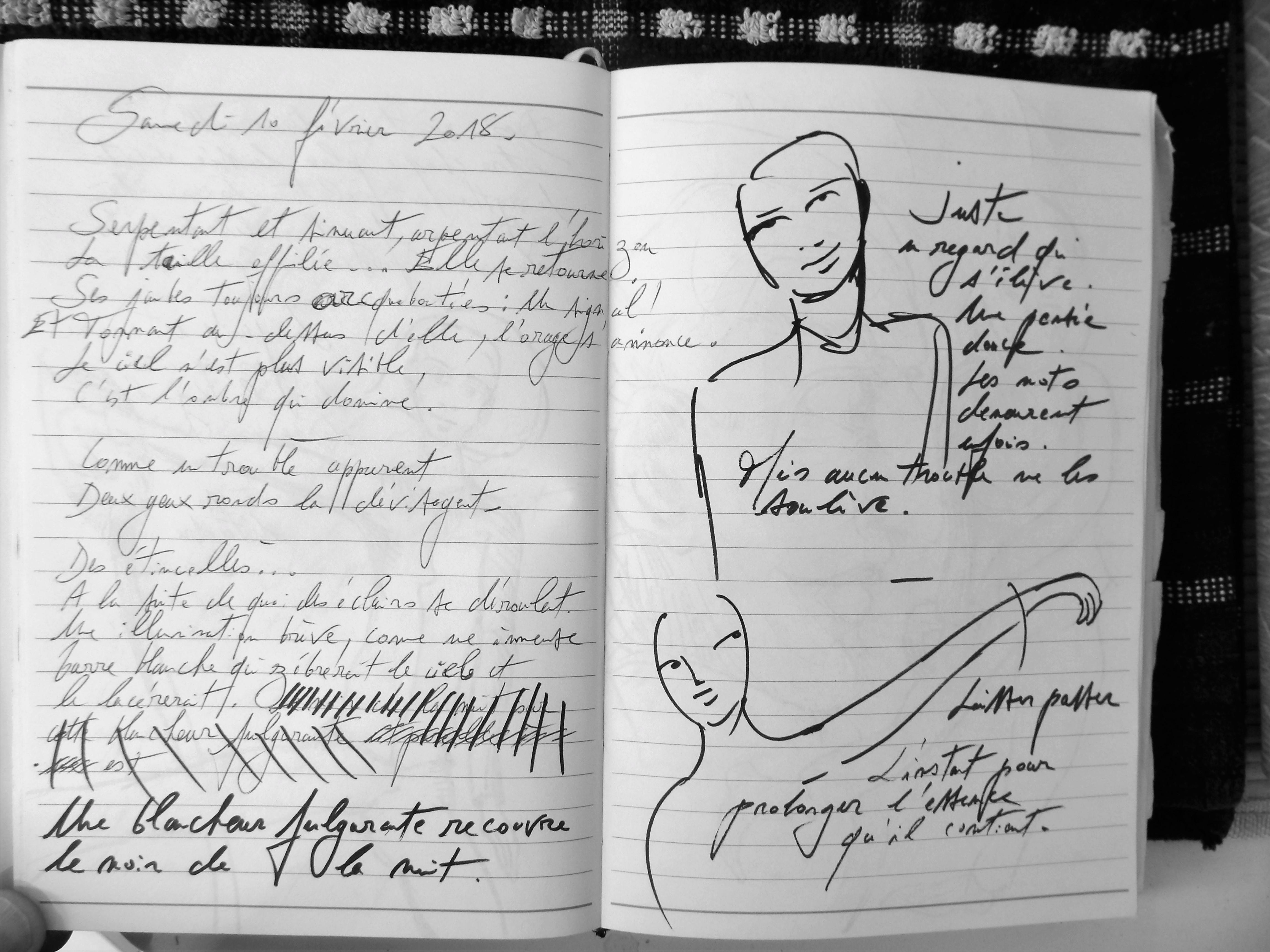 Petits Papiers Volants : Journal D'écriture 2003-2018 - samedi 10 février 2018