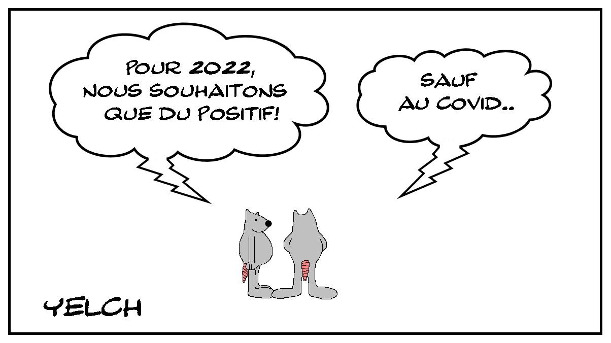 Année 2022 positive mais pas à tout