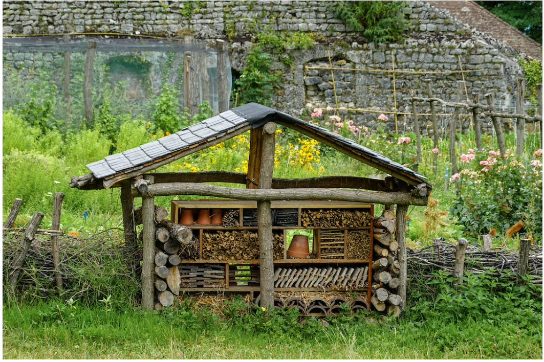 Co-jardinage – Editions Court Bouillon