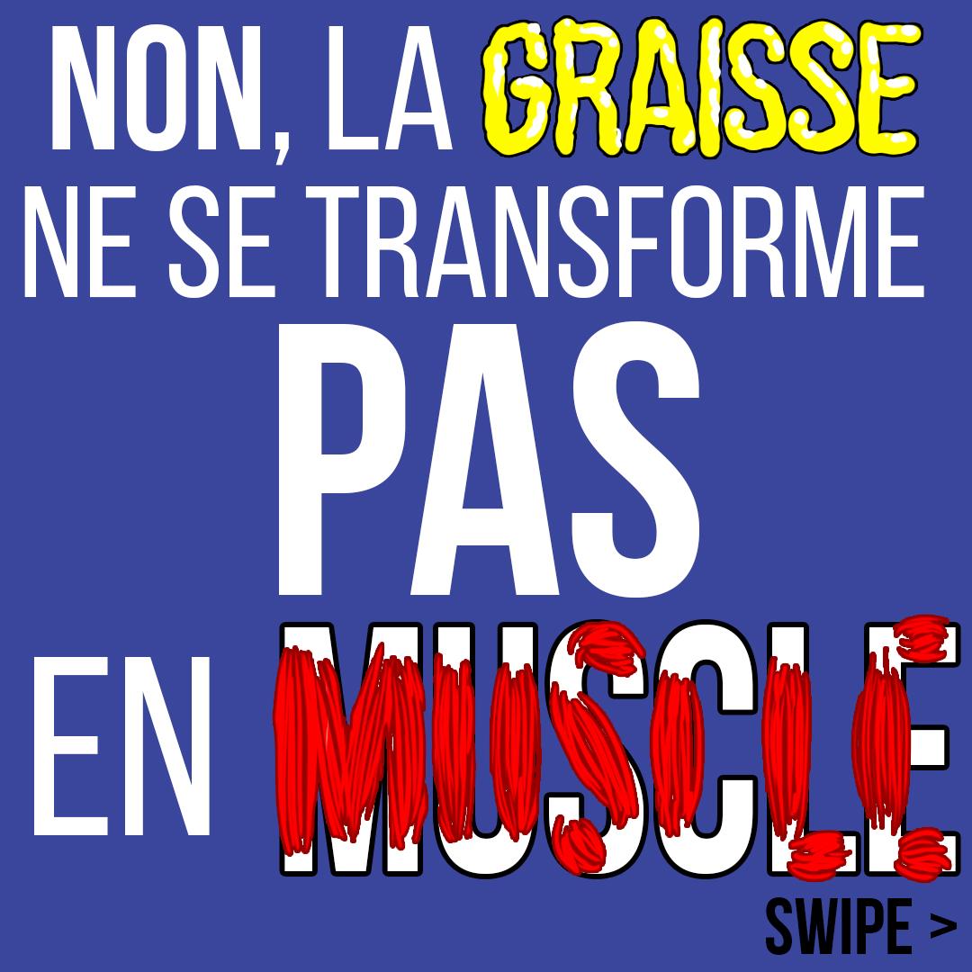 Non, la graisse ne se transforme PAS en muscle