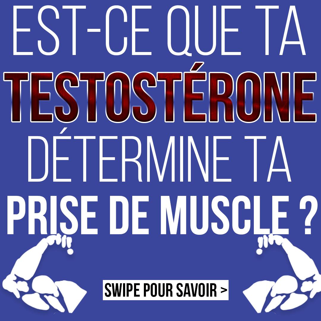Est-ce que ta testostérone détermine ta prise de muscle ?