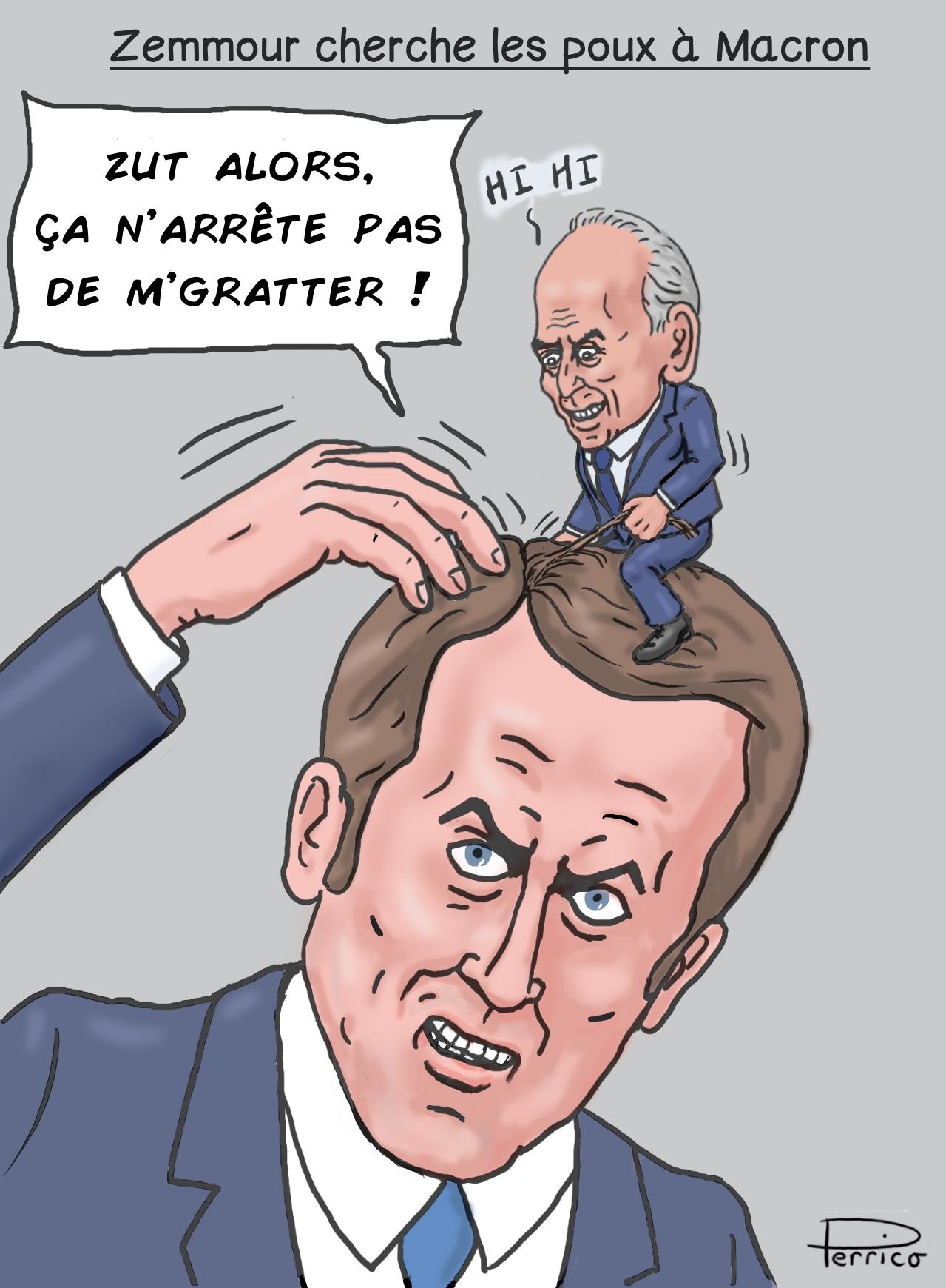Zemmour cherche les poux à Macron