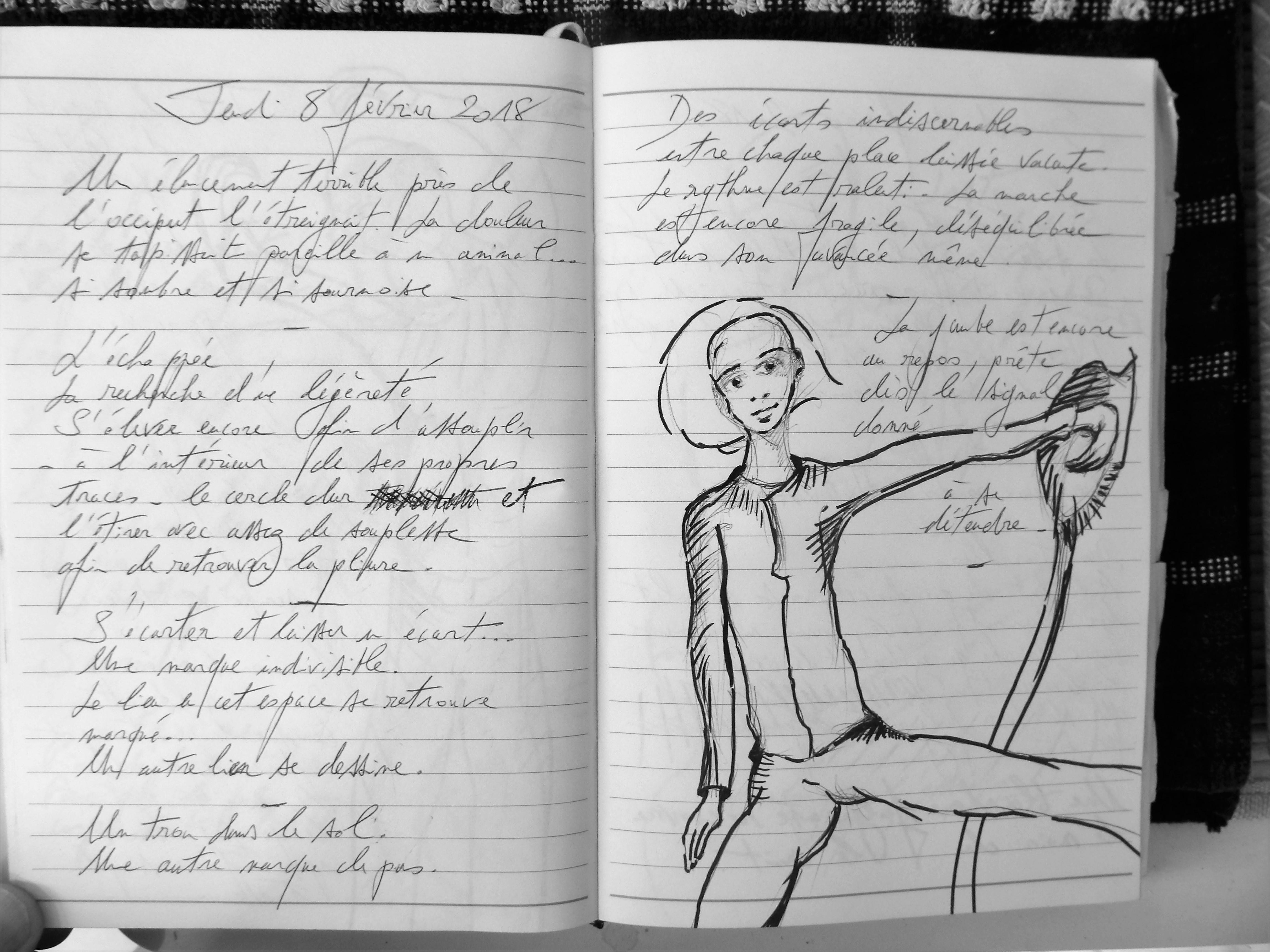Petits Papiers Volants : Journal D'écriture 2003-2018 - Jeudi 8 février 2018
