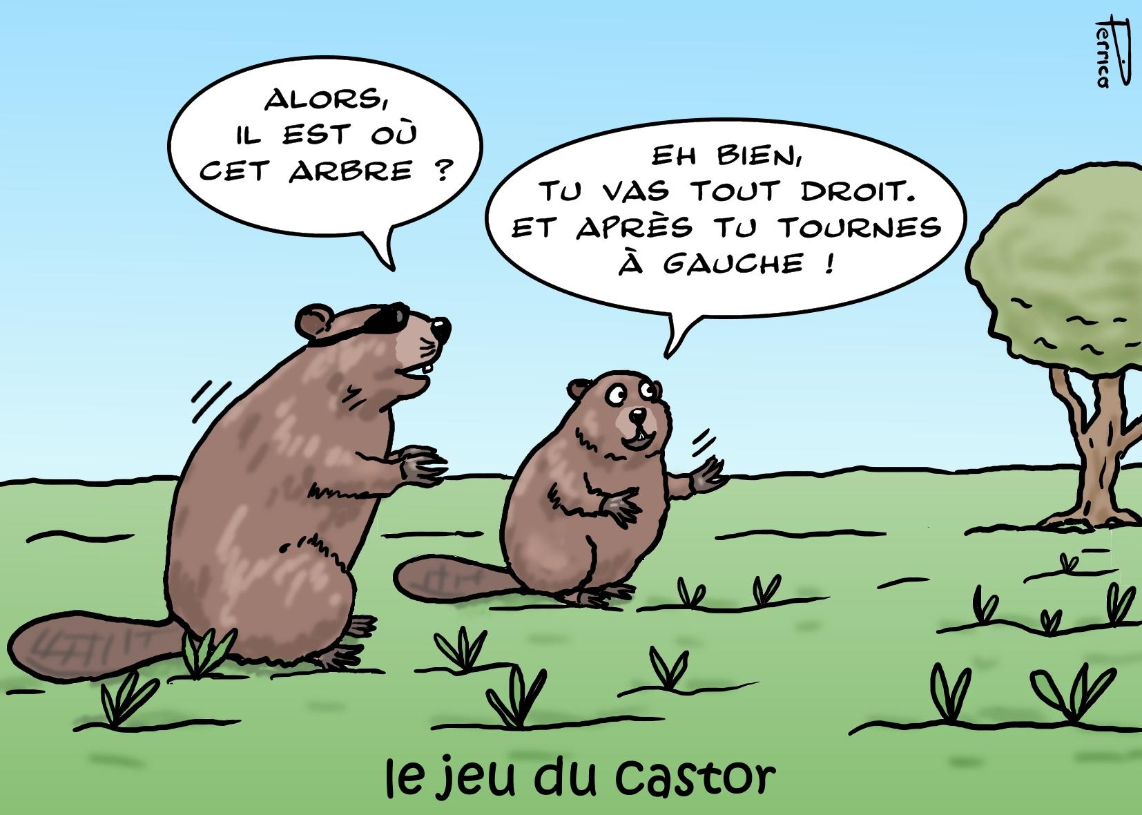 le jeu du castor