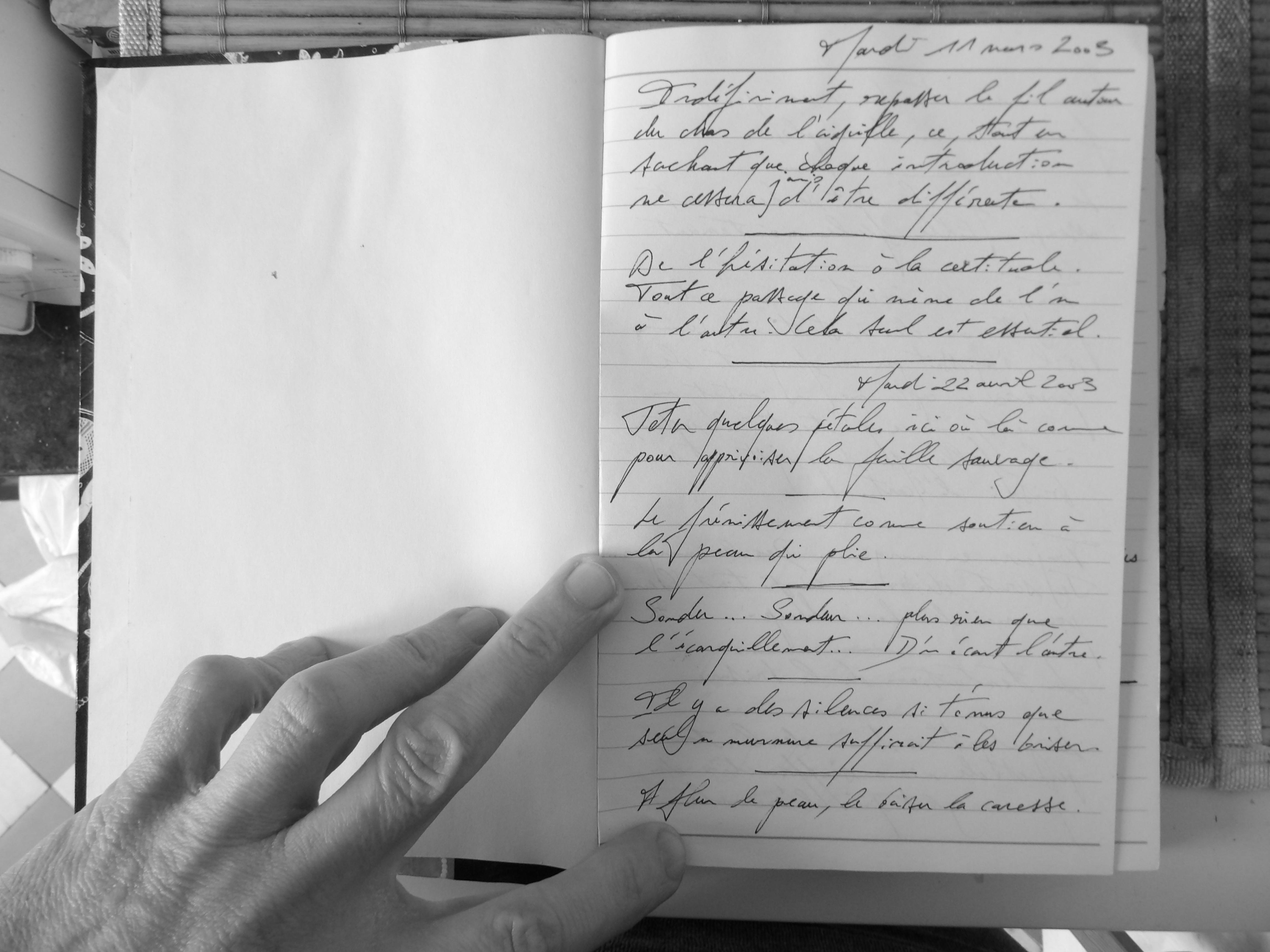 Petits Papiers Volants : Journal D'écriture 2003-2018